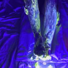 Wamgirlx: Glow in The Dark UV Gunging  Legs and Feet