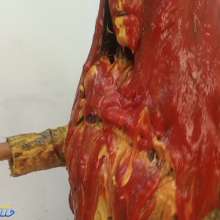 Hikari-Studio-Wam: Hikari Wrapped up in a Big Mess of Ketchup and Mustard