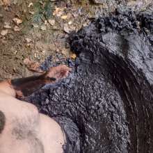 countrywam: Found more great mud in Maryland