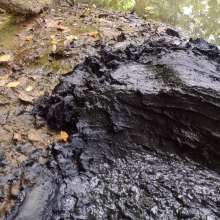 countrywam: Found more great mud in Maryland