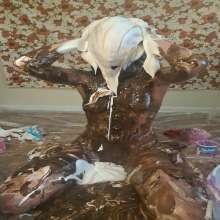 RevSlymsford: Jade's 4th Of July Week Messy Celebrations