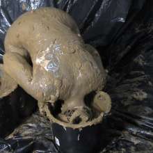 Pure Paint: Luci Gets Nuts in Healing Clay