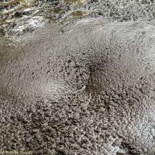 dlodoski: Gara, Teasing in Peat--Photos