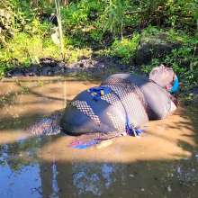 MelonieNosha: Na Mud Ste (Mud Yoga)