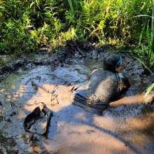 MelonieNosha: Na Mud Ste (Mud Yoga)
