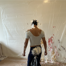 hooliham: Another free video!  Hooliham gets tied and pied!