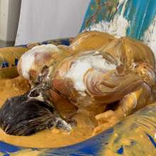 Messygirl: Two New Messygirl Downloads with Megan and Stephanie
