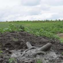 RyuuWammer: The Great Mud Wallow of 2023