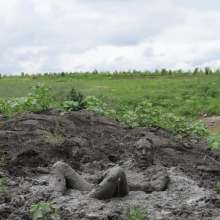 RyuuWammer: The Great Mud Wallow of 2023