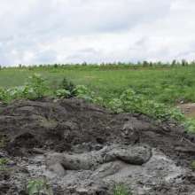 RyuuWammer: The Great Mud Wallow of 2023