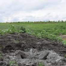 RyuuWammer: The Great Mud Wallow of 2023