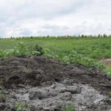RyuuWammer: The Great Mud Wallow of 2023