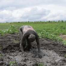 RyuuWammer: The Great Mud Wallow of 2023