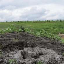 RyuuWammer: The Great Mud Wallow of 2023