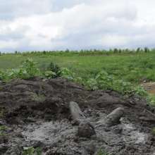 RyuuWammer: The Great Mud Wallow of 2023