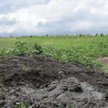 RyuuWammer: The Great Mud Wallow of 2023