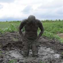 RyuuWammer: The Great Mud Wallow of 2023