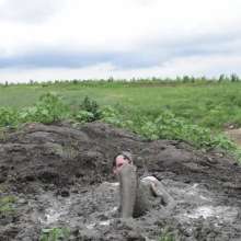 RyuuWammer: The Great Mud Wallow of 2023