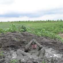 RyuuWammer: The Great Mud Wallow of 2023