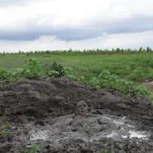 RyuuWammer: The Great Mud Wallow of 2023
