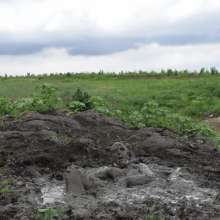 RyuuWammer: The Great Mud Wallow of 2023