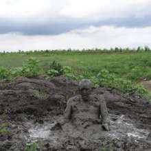 RyuuWammer: The Great Mud Wallow of 2023