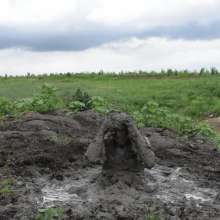 RyuuWammer: The Great Mud Wallow of 2023