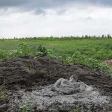RyuuWammer: The Great Mud Wallow of 2023