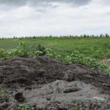 RyuuWammer: The Great Mud Wallow of 2023