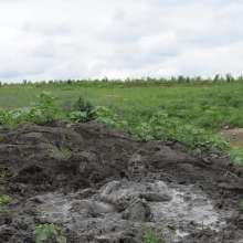 RyuuWammer: The Great Mud Wallow of 2023