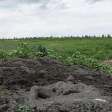 RyuuWammer: The Great Mud Wallow of 2023