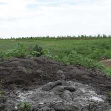 RyuuWammer: The Great Mud Wallow of 2023