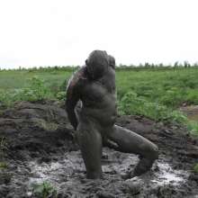 RyuuWammer: The Great Mud Wallow of 2023