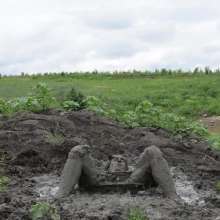 RyuuWammer: The Great Mud Wallow of 2023