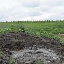 RyuuWammer: The Great Mud Wallow of 2023