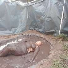 Darkabyss445: Yoga and Sensual Mud Play