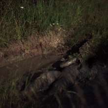 Swamp Angel: 21 Mud Ritual, Long Satin Dress and Long Latex Cape Hooded