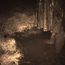 Swamp Angel: 86 Ir Latex Mask and Leather Skirt Mud Bath