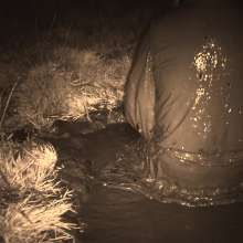 Swamp Angel: 86 Ir Latex Mask and Leather Skirt Mud Bath