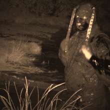 Swamp Angel: 86 Ir Latex Mask and Leather Skirt Mud Bath