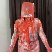 Hikari-Studio-Wam: A Disastrous Birthday for Hikari