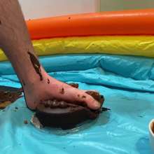 PiedLikeMike: Chocolate Forfeit