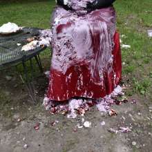 JD and Messy Andi: Blueberry Compote Test Completed!