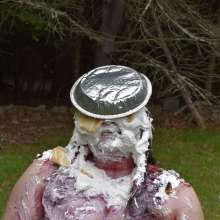 JD and Messy Andi: Blueberry Compote Test Completed!
