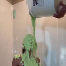 Slimed Models: Justine Slimed for the First Time