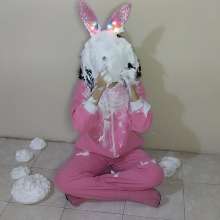 SarahPie: Pie Fun with the Cutest Bunny