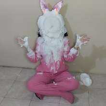 SarahPie: Pie Fun with the Cutest Bunny