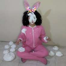 SarahPie: Pie Fun with the Cutest Bunny