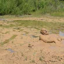 RyuuWammer: Quarry Clay Wallow 2024