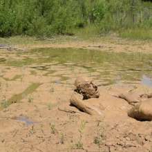 RyuuWammer: Quarry Clay Wallow 2024